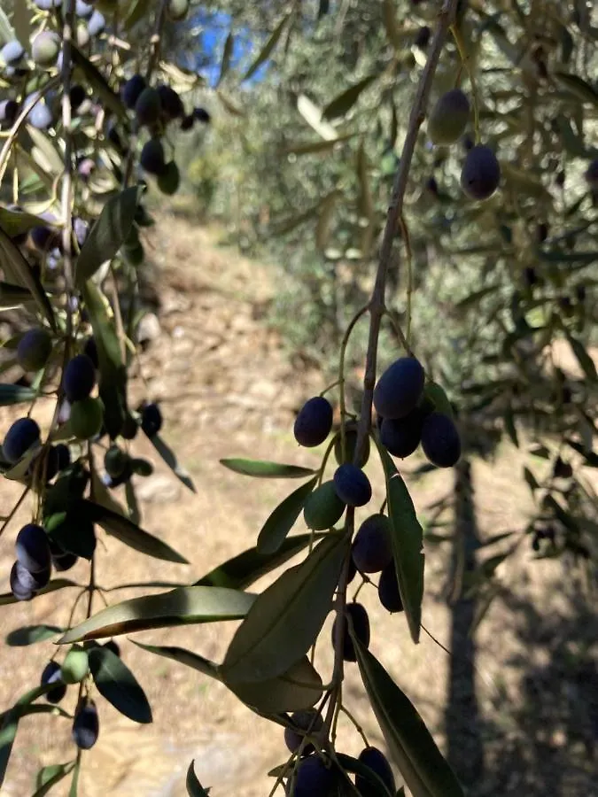 Appartamento Piccola Navetta Diano San Pietro